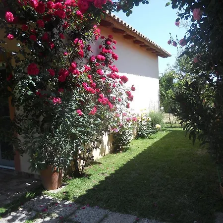 Le Jardin De Temeni Apartment Aigio Room photo