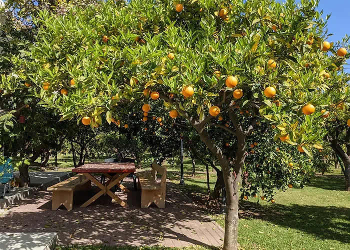 Le Jardin De Temeni