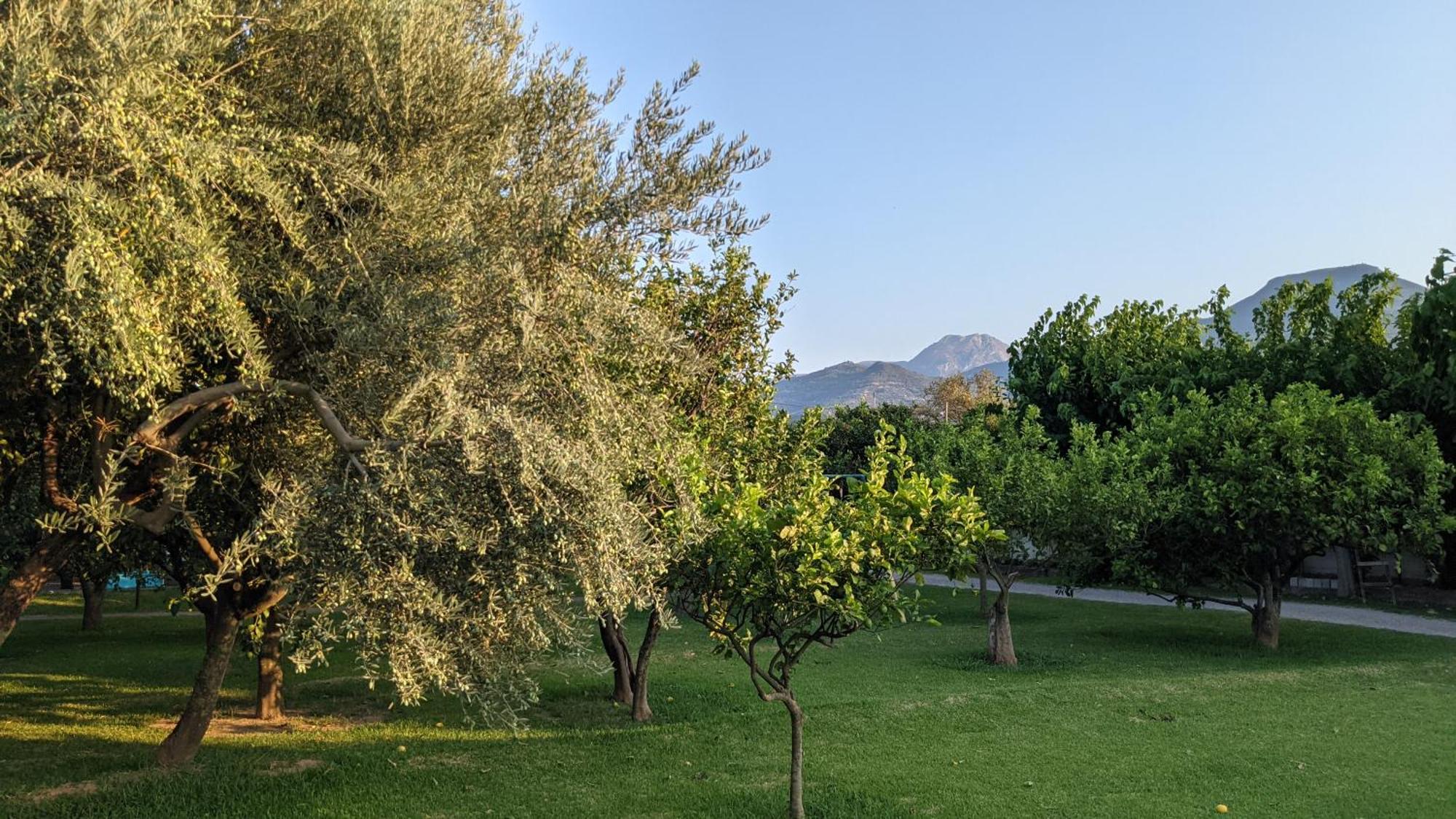 Le Jardin De Temeni